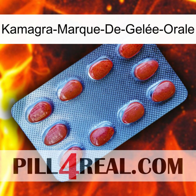 Kamagra-Marque-De-Gelée-Orale 06